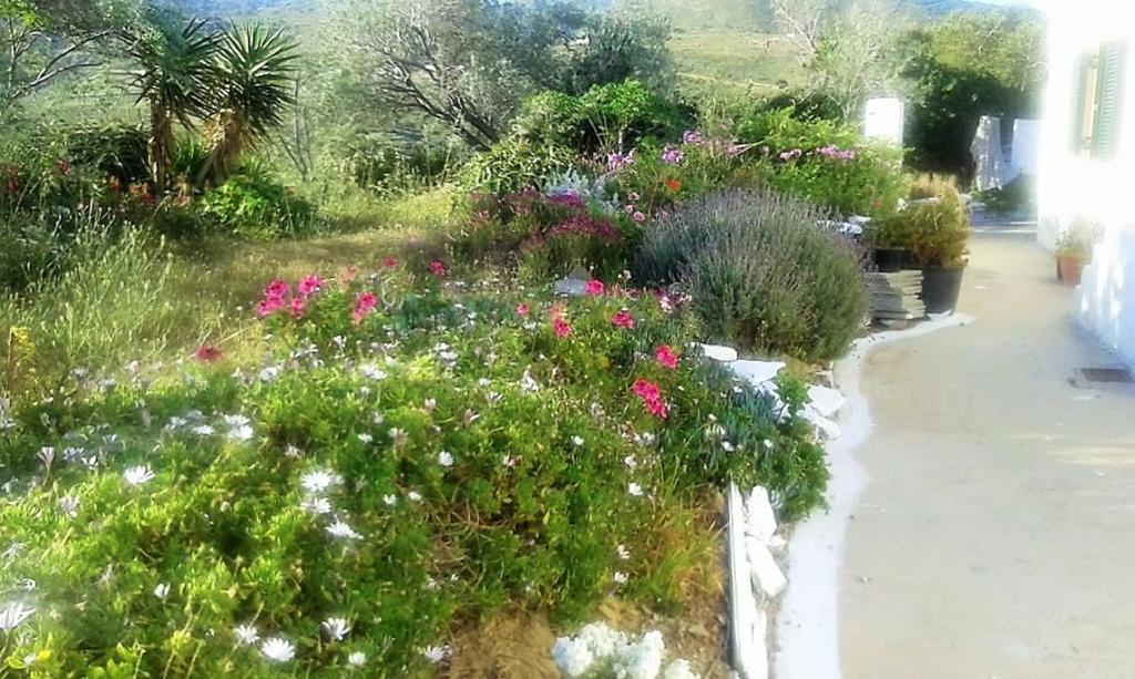 Avgoustis' Stone House Villa Otziás Exteriör bild