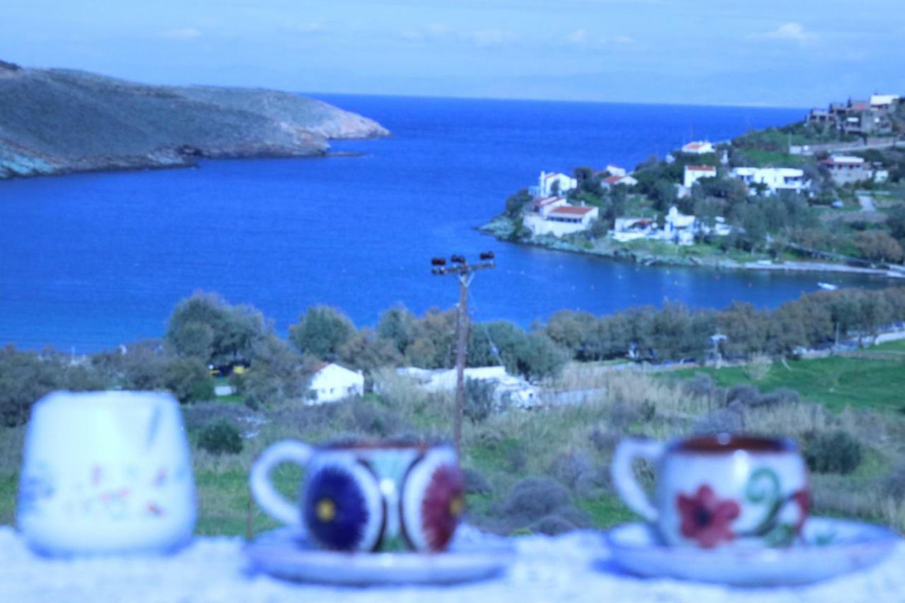 Avgoustis' Stone House Villa Otziás Exteriör bild