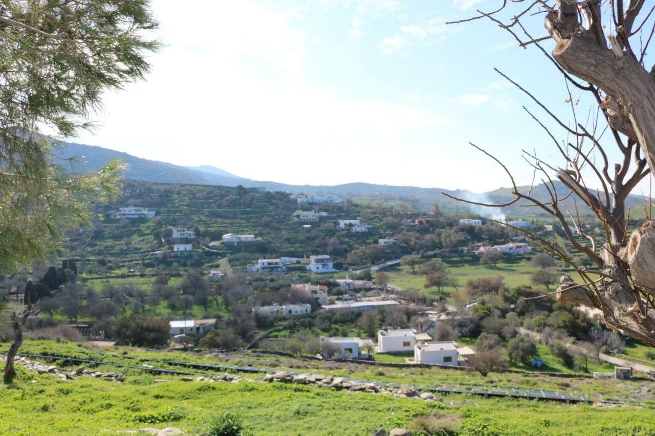 Avgoustis' Stone House Villa Otziás Exteriör bild